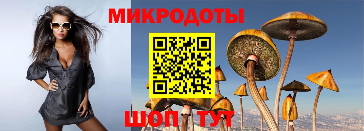 Псилоцибиновые грибы мицелий Гуково